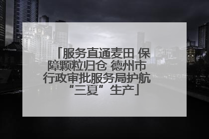 服务直通麦田 保障颗粒归仓 德州市行政审批服务局护航“三夏”生产